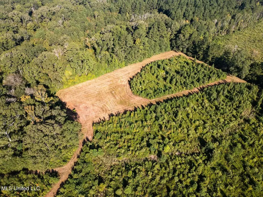 5073 Rollinson Road, Liberty, MS 39645 - Image #2