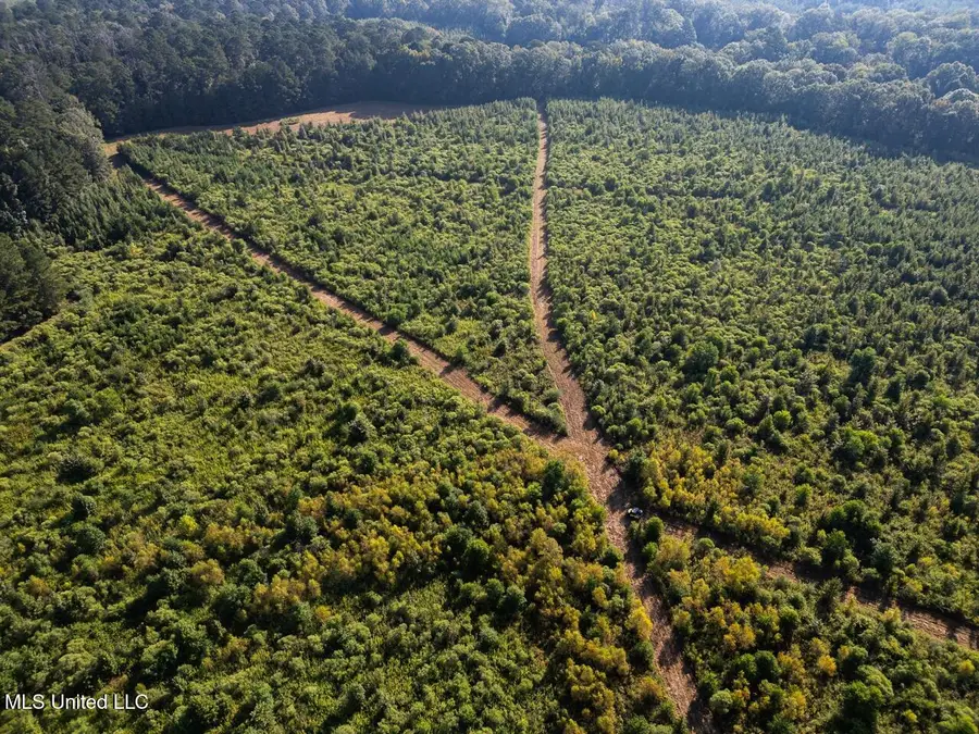 5073 Rollinson Road, Liberty, MS 39645 - Image #3