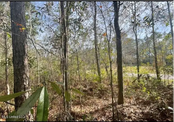 Dailey Road, Gautier, MS 39553 - Image #2