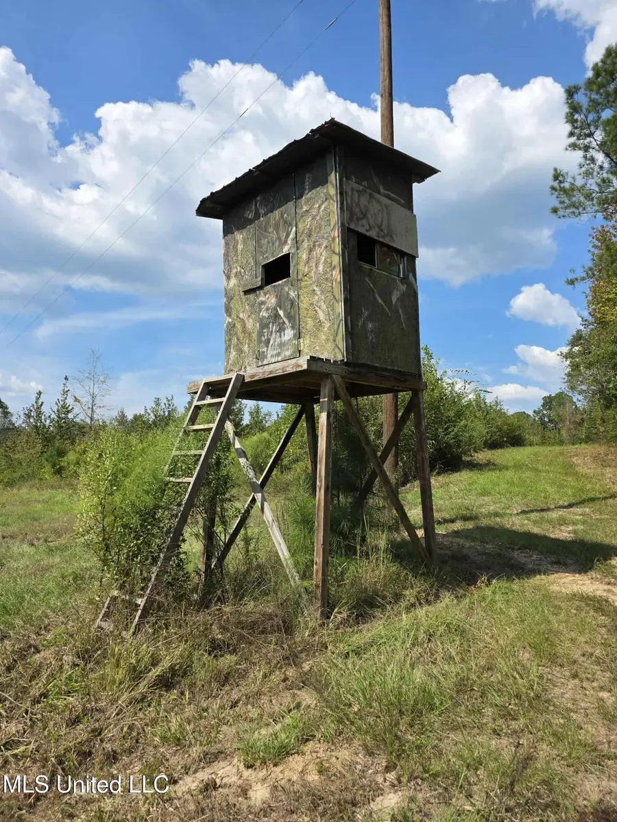 Phares Lane, Meadville, MS 39653 - Image #2