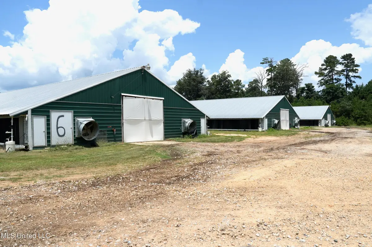 331/333 Davenport Rd, Heidelberg, MS 39439 - #1