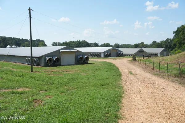 112 Old Highway 13, Lena, MS 39094