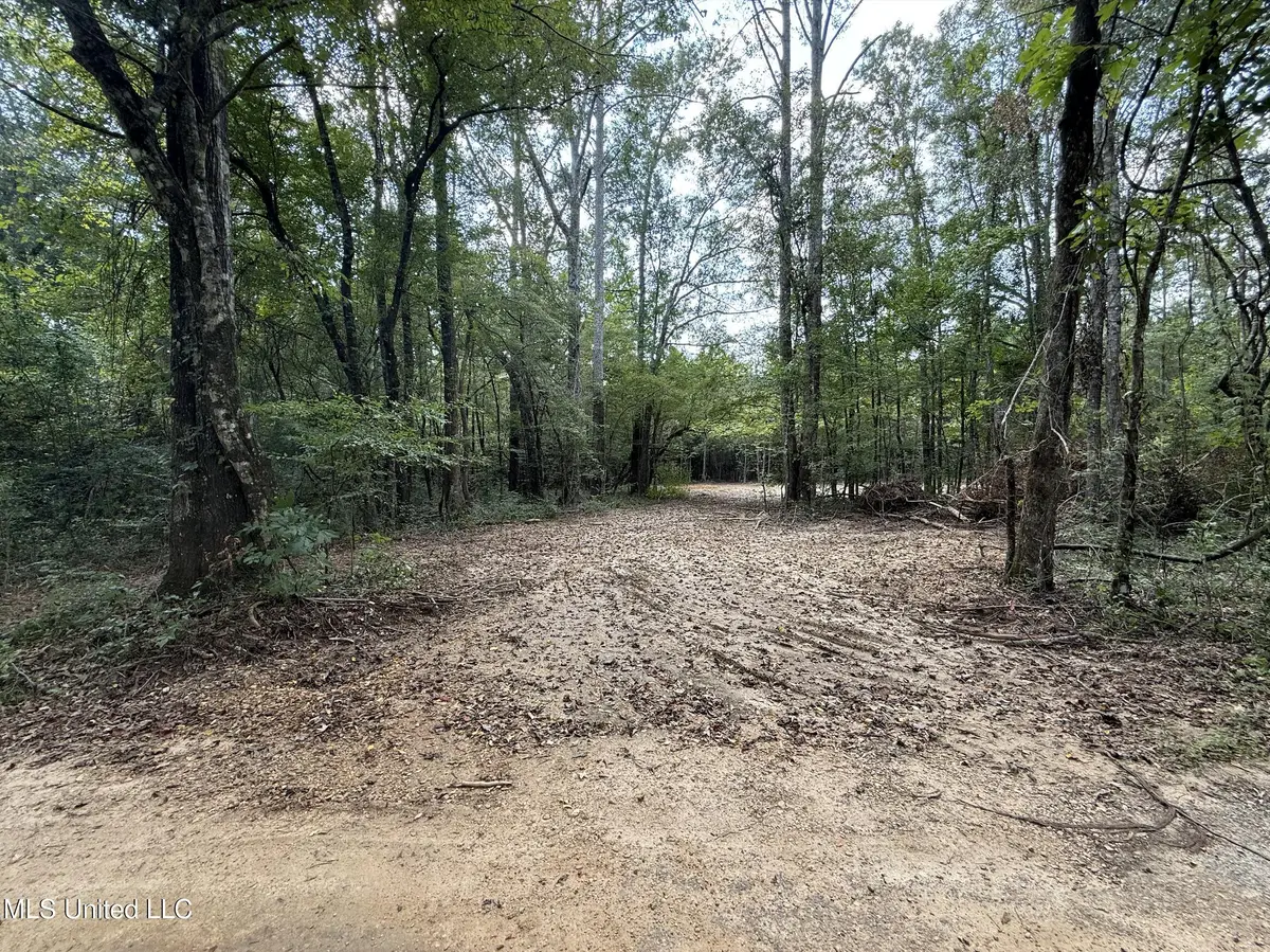 SW Dalton Lane, Smithdale, MS 39664 - Image #1