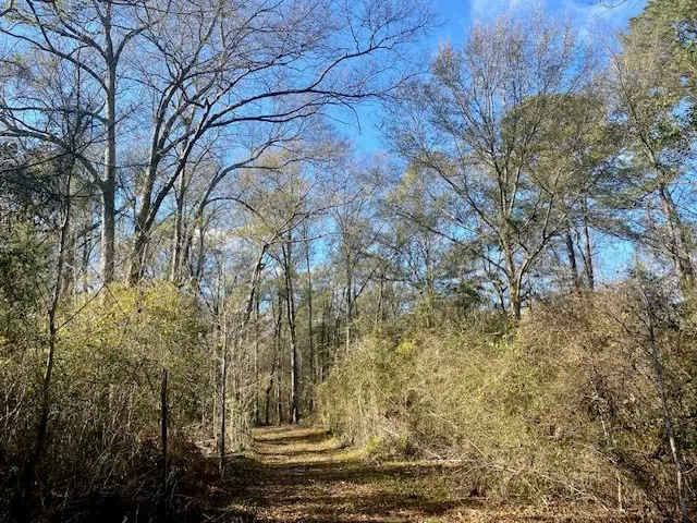 Morgantown Road, McComb, MS 39648 - Image #3