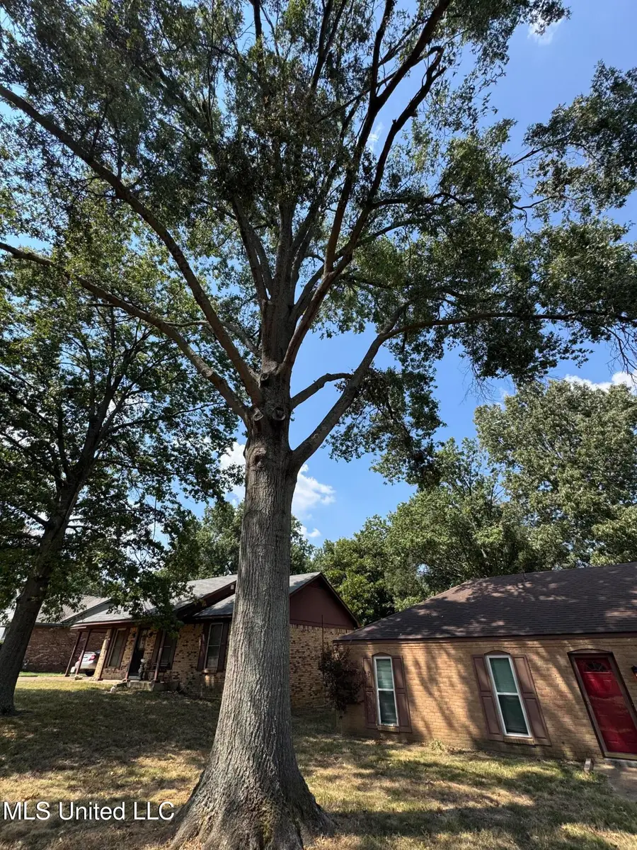 864 Hackberry Drive, Southaven, MS 38671 - Image #2