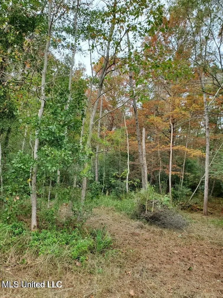 0 Sandpiper, Gautier, MS 39553 - Image #1