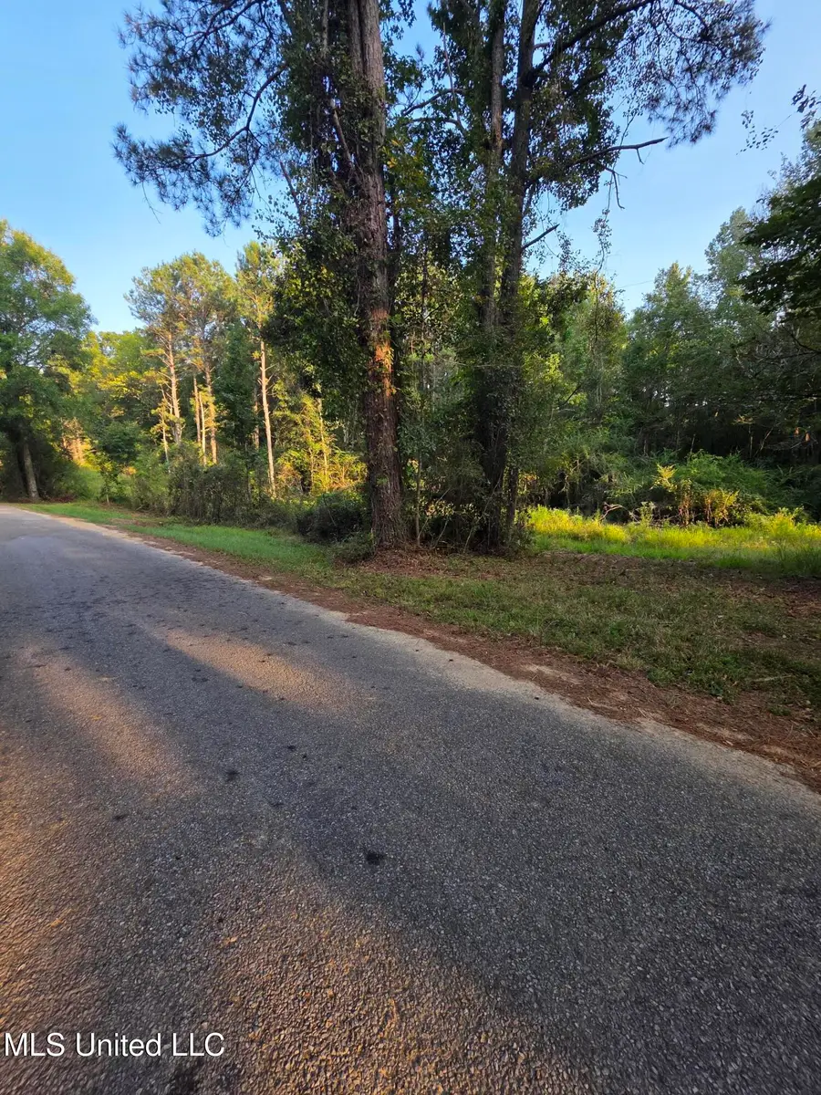 County Rd 155, Stringer, MS 39481 - Image #2