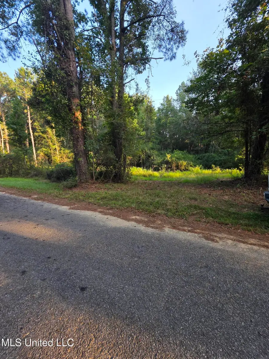 County Rd 155, Stringer, MS 39481 - Image #3