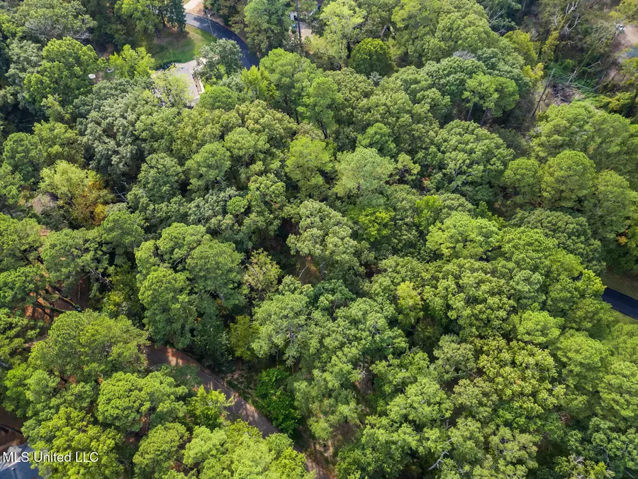 0 Drexel Circle, Clinton, MS 39056 - Image #2