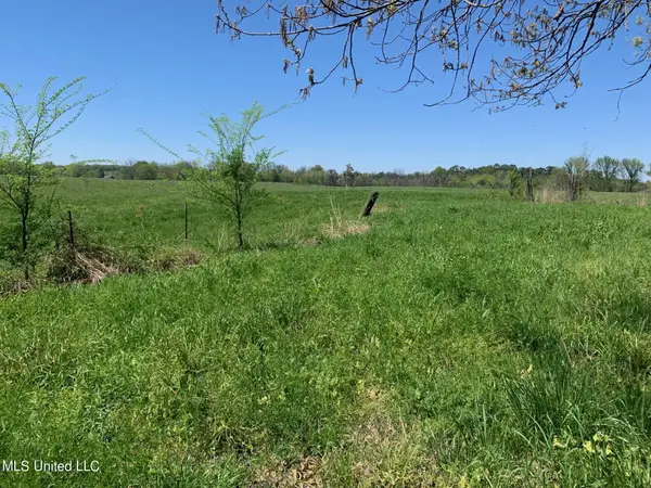 9 Baldwin Road, Hernando, MS 38632