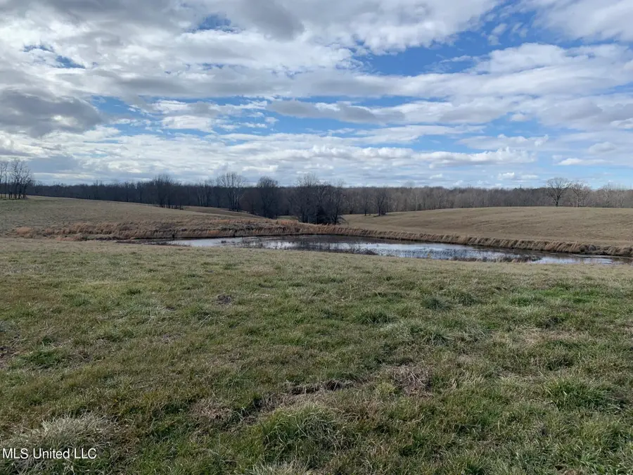 9 Baldwin Road, Hernando, MS 38632 - Image #2