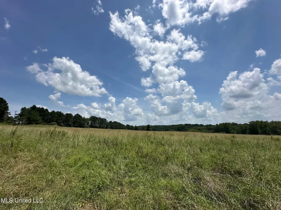4 County Road 444, Philadelphia, MS 39350 - Image #3