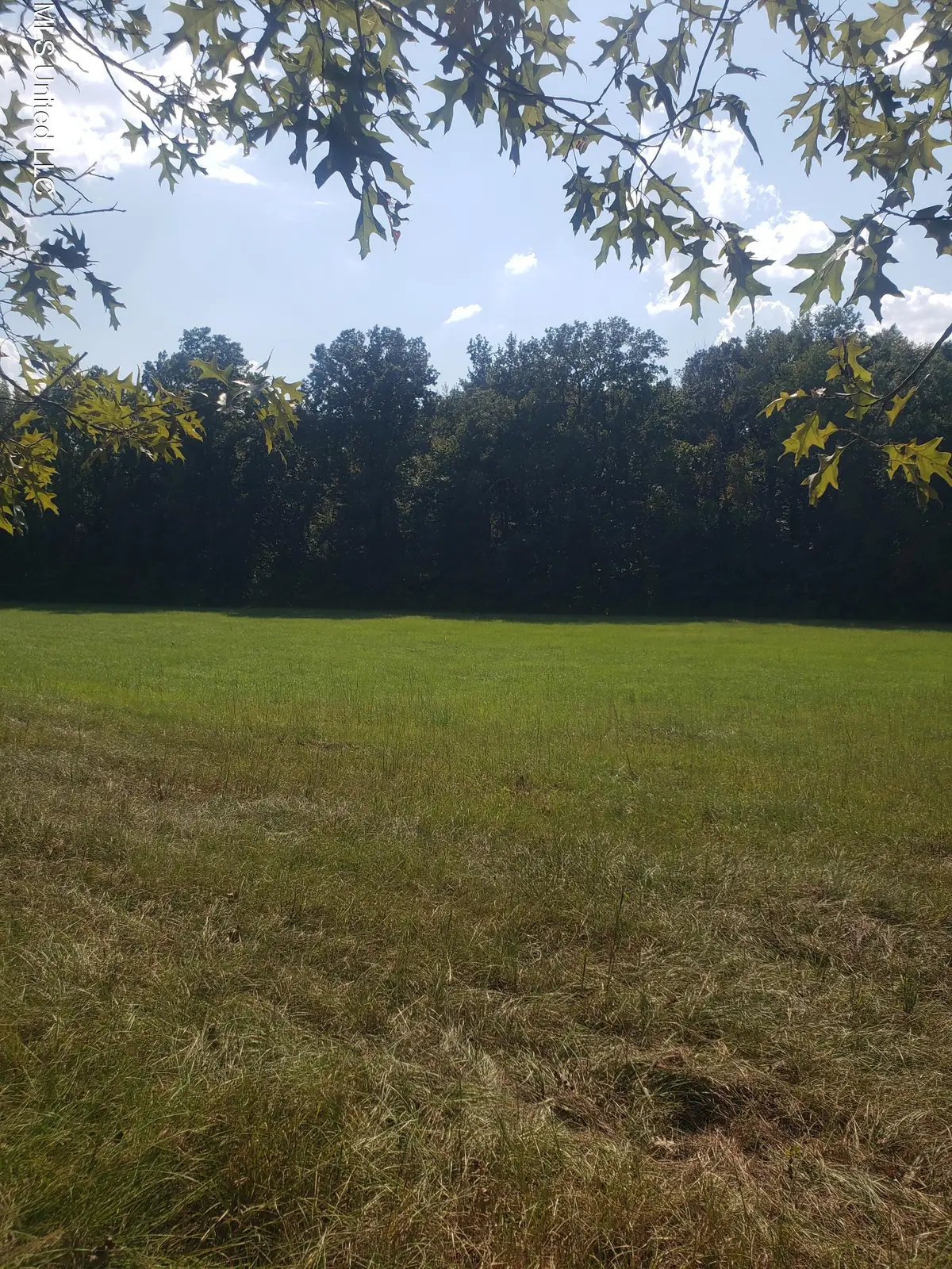 2313 South Frontage Road, Clinton, MS 39056 - Image #1