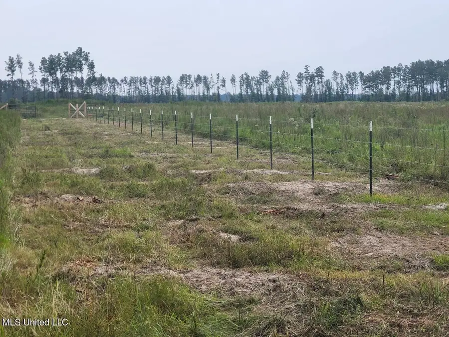 38774 S Mccarrol Rd Road, Amite, LA 70422 - Image #2