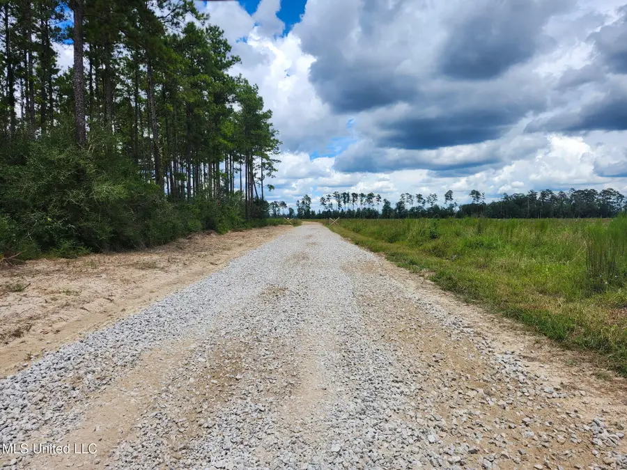 38774 S Mccarrol Rd Road, Amite, LA 70422 - Image #3