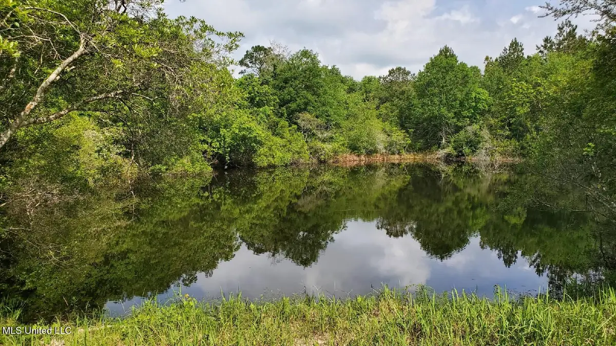 Amberwood Lane, Lucedale, MS 39452 - Image #1