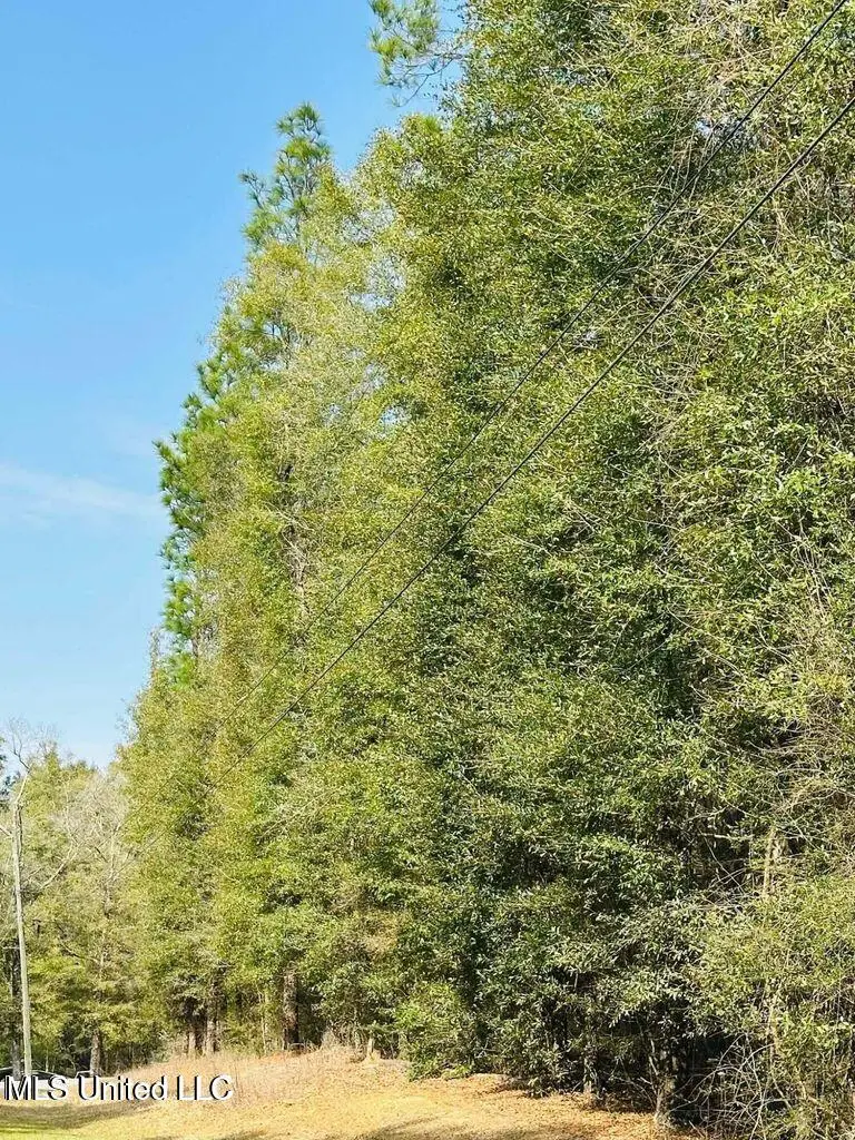 1 Acre Oakhaven Drive, Lucedale, MS 39452 - Image #2