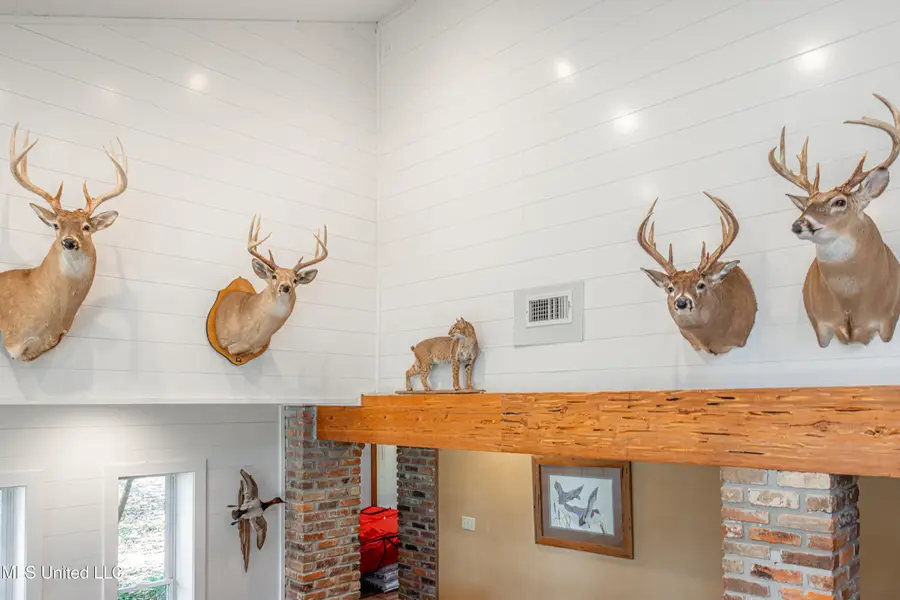 295 Posey Lane, Vaughan, MS 39179 - Image #3