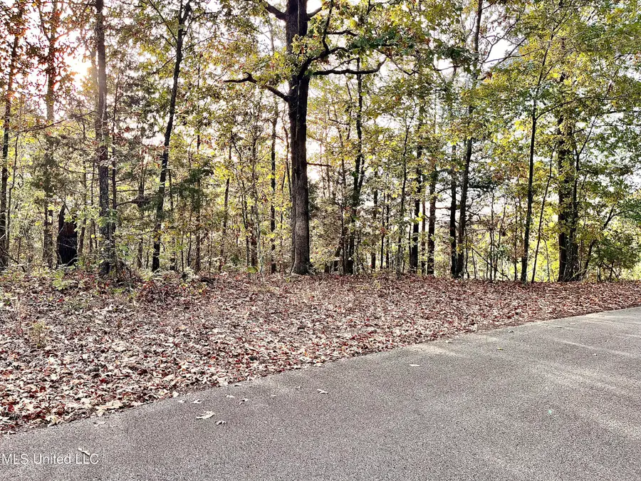 0 Hill Top Road, Ashland, MS 38603 - Image #2