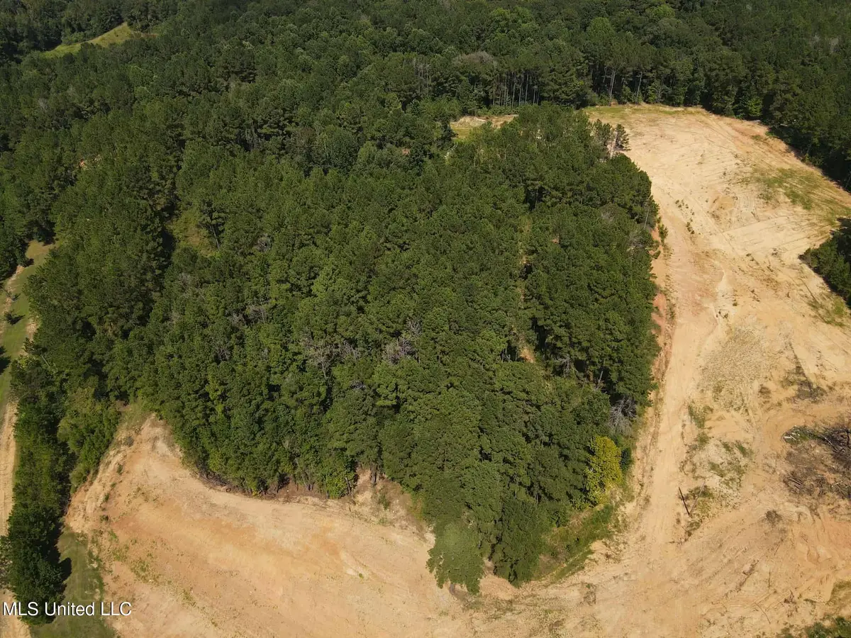 Lee Beall Circle, Wesson, MS 39191 - Image #1