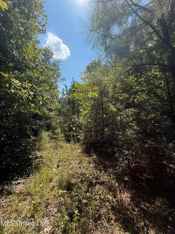 4920 Wiggins Loop Road, Carthage, MS 39051