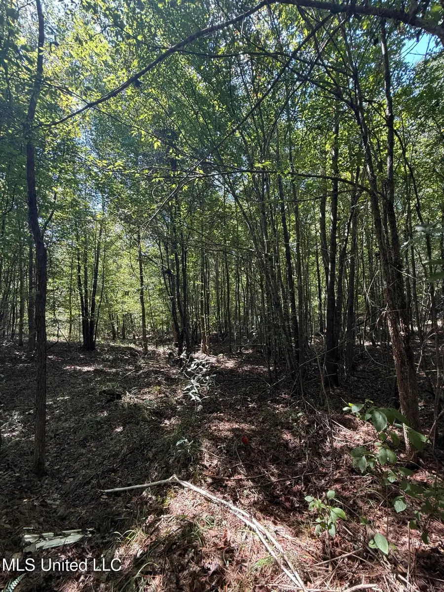 4920 Wiggins Loop Road, Carthage, MS 39051 - Image #2