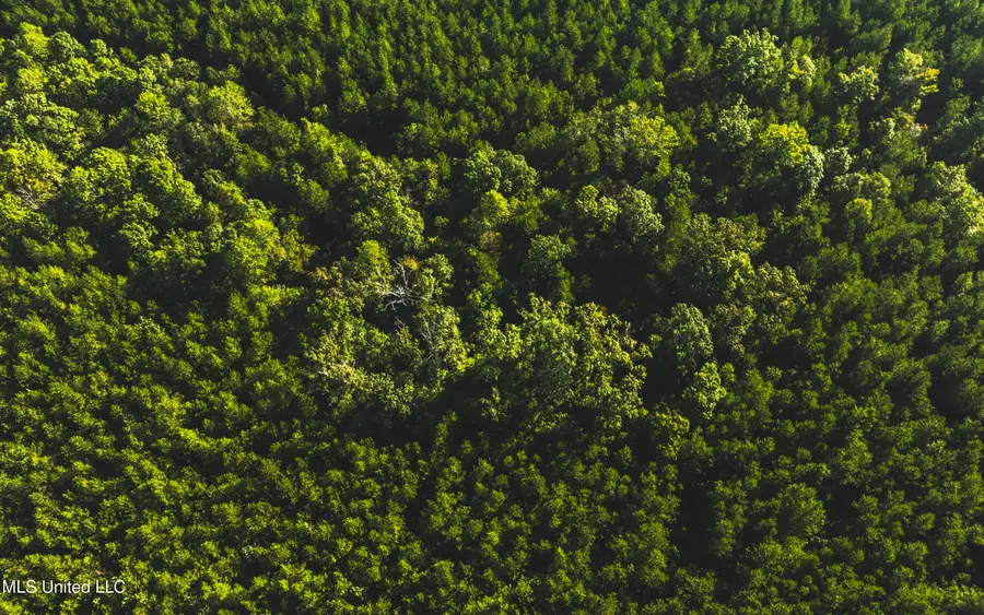 Bill Hubbard Road, Braxton, MS 39044 - Image #2