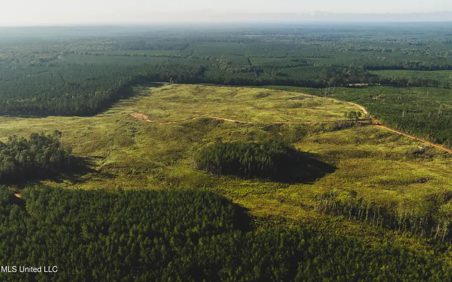 Bill Hubbard Road, Braxton, MS 39044 - Image #3