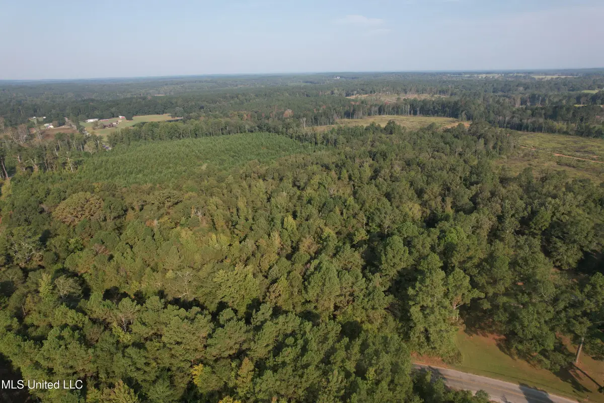 Stratton Road, Decatur, MS 39327 - Image #1