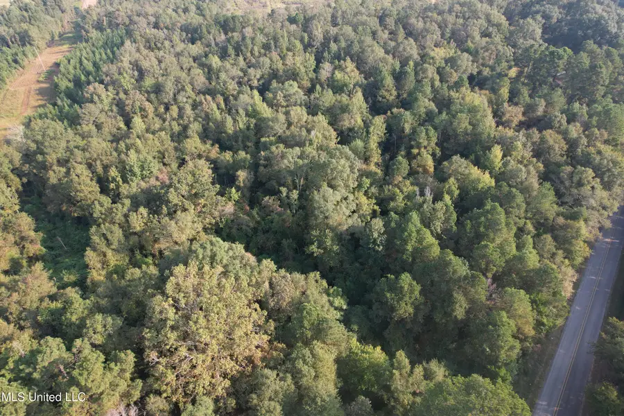 Stratton Road, Decatur, MS 39327 - Image #2