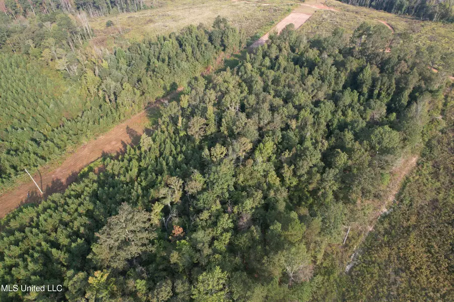 Stratton Road, Decatur, MS 39327 - Image #3