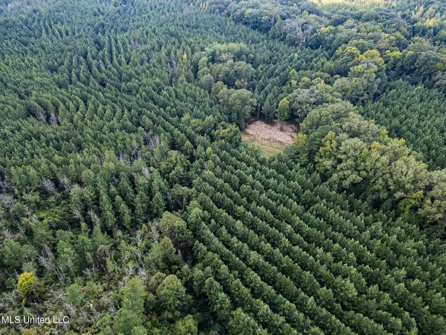 3228 Highway 548, Hermanville, MS 39086 - Image #3