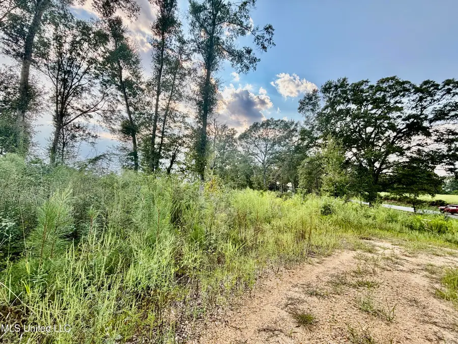 891 Ms-48, Tylertown, MS 39667 - Image #3