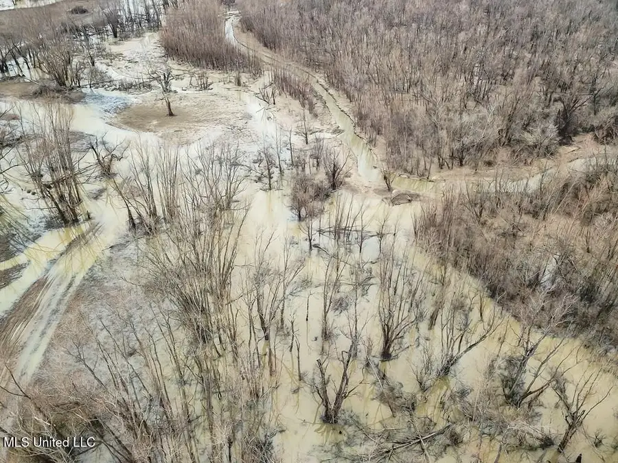 1002 Travelers Rest Road, Lorman, MS 39096 - Image #2