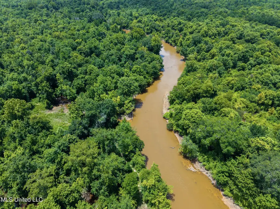 Highway 35, Vaiden, MS 39176 - Image #2