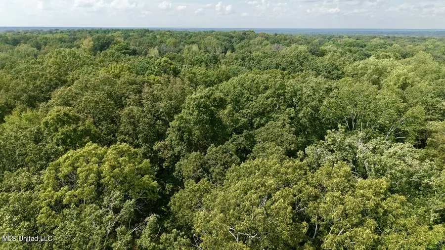 01 Abernathy Road, Flora, MS 39071 - Image #3