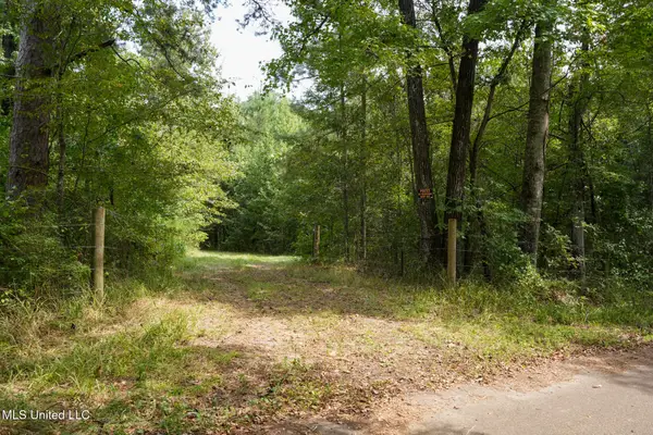 Bethesda Road, Crystal Springs, MS 39059