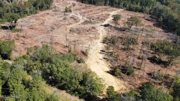 00 Pleasant Lane, Wesson, MS 39191