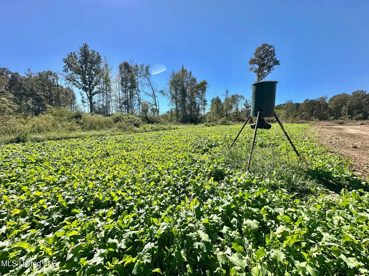 1008 Pleasant Lane, Wesson, MS 39191 - #1