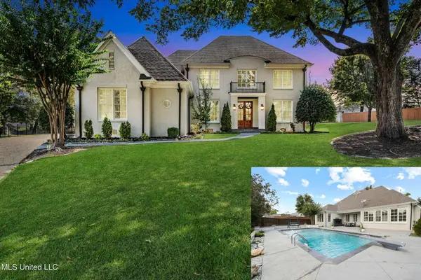 2147 Chancellor Cove, Nesbit, MS 38651