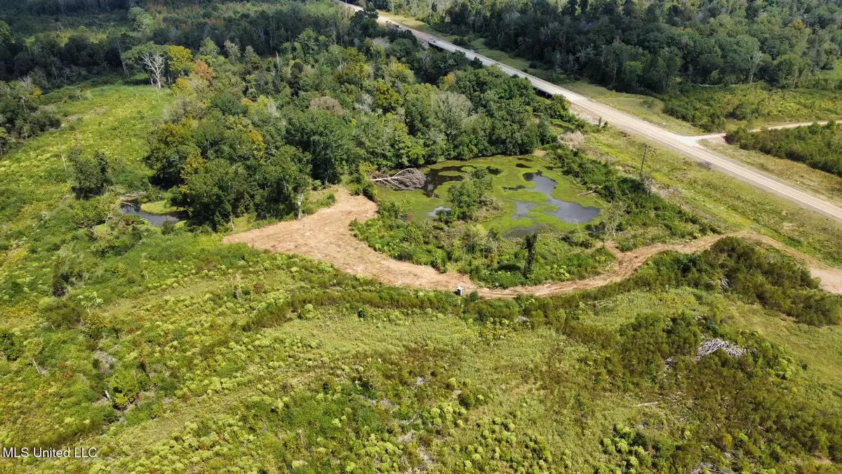 0 Highway 35, Walnut Grove, MS 39189 - Image #1