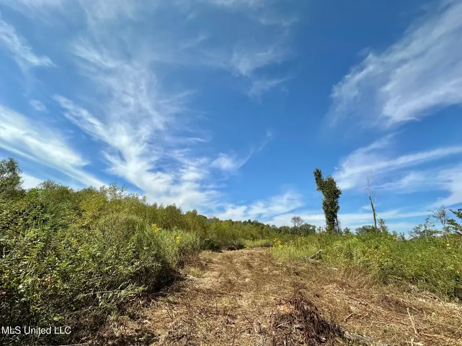 0 Highway 35, Walnut Grove, MS 39189 - Image #2