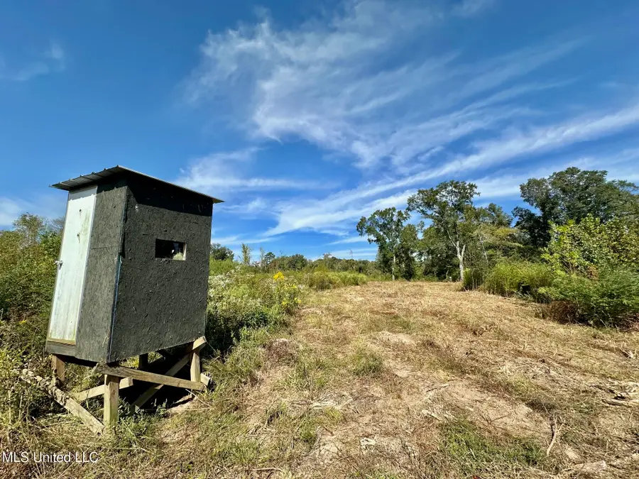 0 Highway 35, Walnut Grove, MS 39189 - Image #3