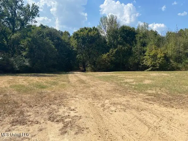 10 1/2 Acres Smith, Hernando, MS 38632 - Image #2