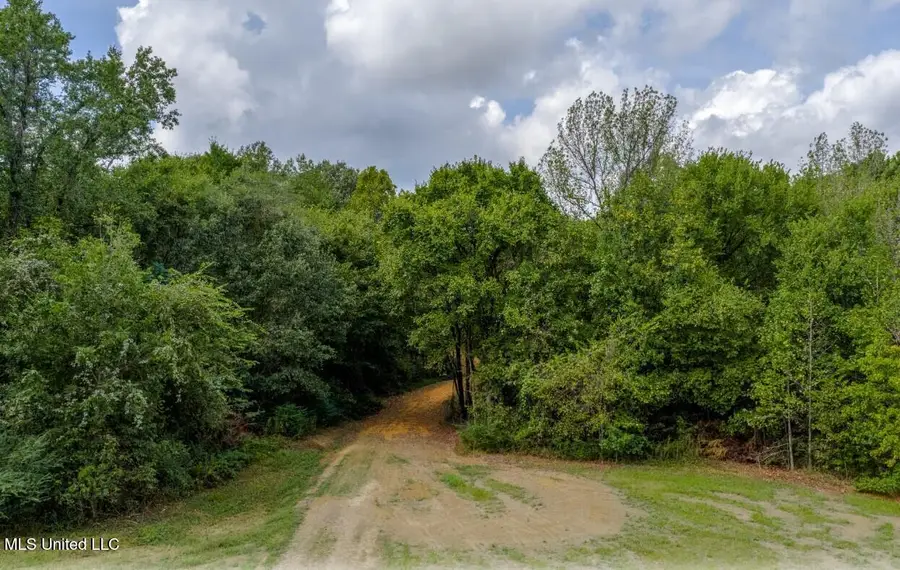 10 1/2 Acres Smith, Hernando, MS 38632 - Image #3