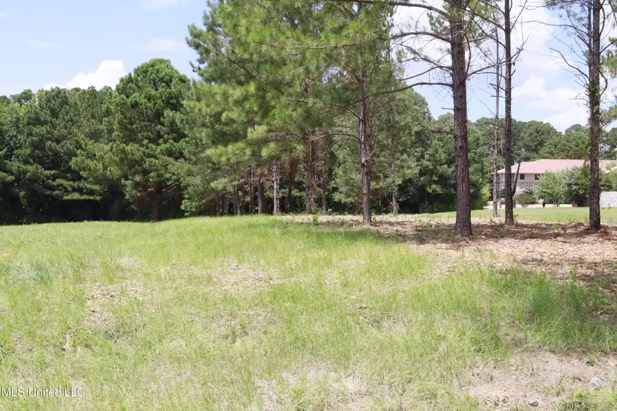 0 Country Place Parkway, Pearl, MS 39208 - Image #3