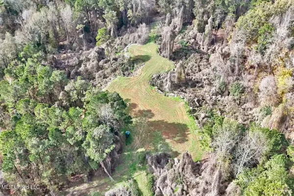 8145 Gordon Station Road, Port Gibson, MS 39150