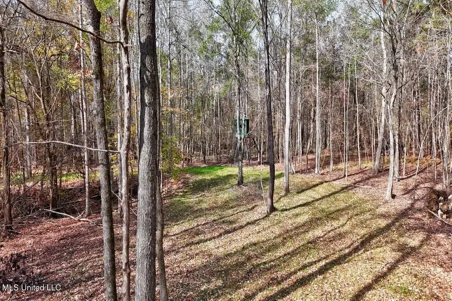 8145 Gordon Station Road, Port Gibson, MS 39150 - Image #2