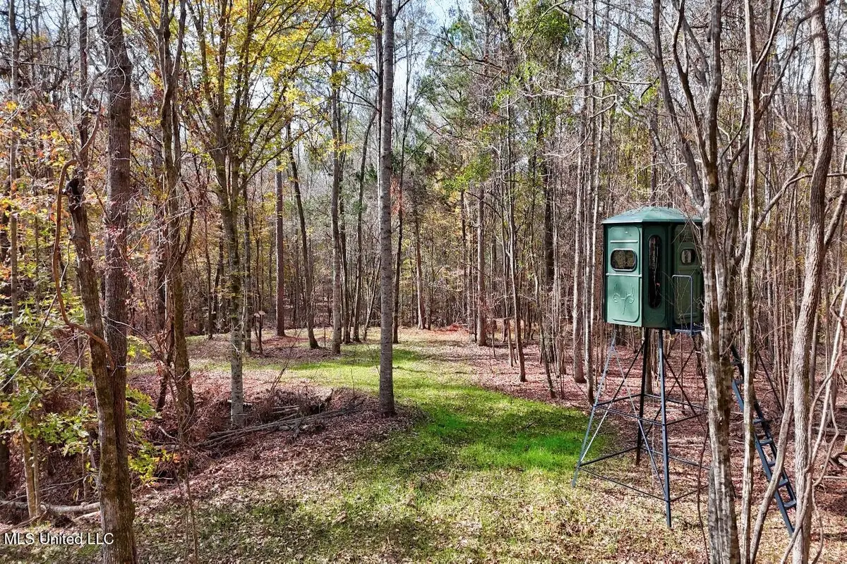 8145 Gordon Station Road, Port Gibson, MS 39150 - Image #1