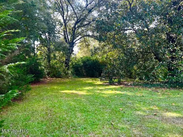 6329 Hwy 43 South, Kosciusko, MS 39090 - Image #3